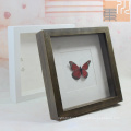 New design 10*10" solid shadow box butterfly specimens photo frame wall home decoration picture frame Wholesale